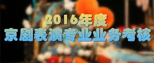 鸡巴暴操美女免费网站国家京剧院2016年度京剧表演专业业务考...